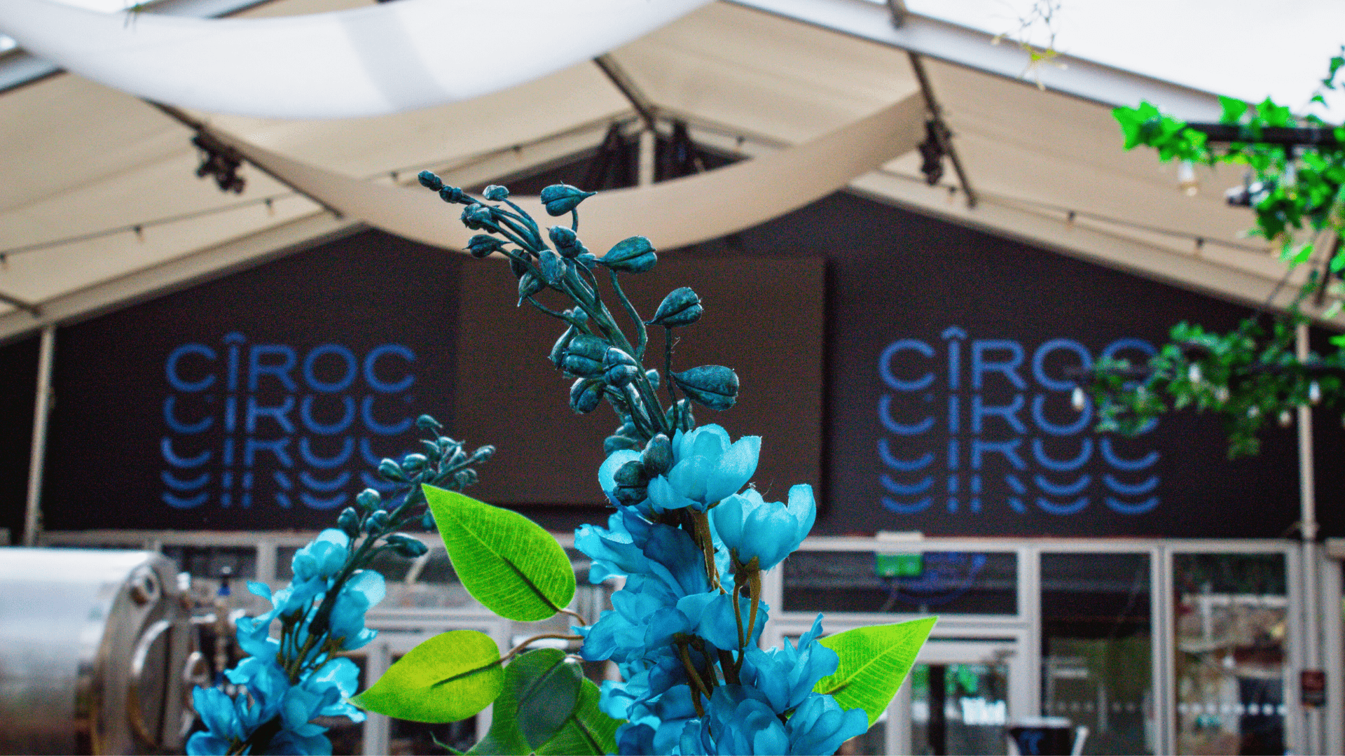 Ciroc brand activation at Motif, Aberdeen